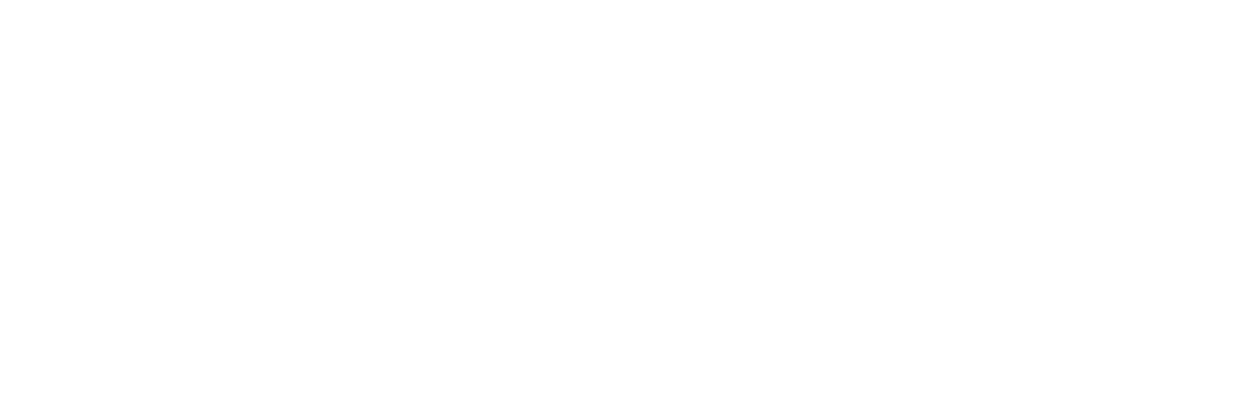 LIW web logo